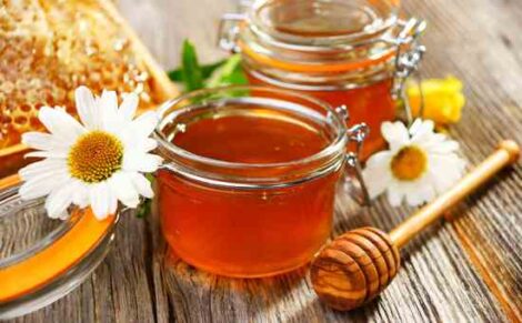 Honey Wheat Muffin Recipe Image